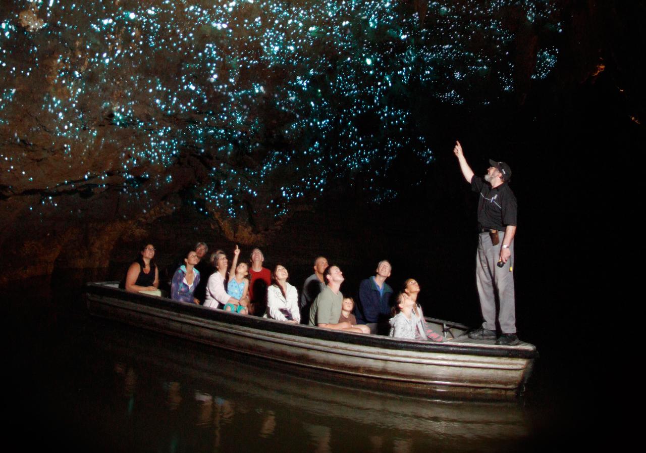 Private Tour to Waitomo Caves : From Auckland