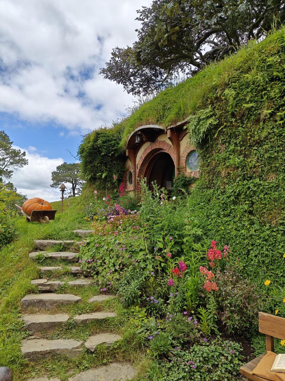 From Auckland : Hobbiton and Te Puia Small Group Guided Tour
