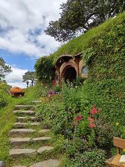 From Auckland : Hobbiton and Te Puia Small Group Guided Tour