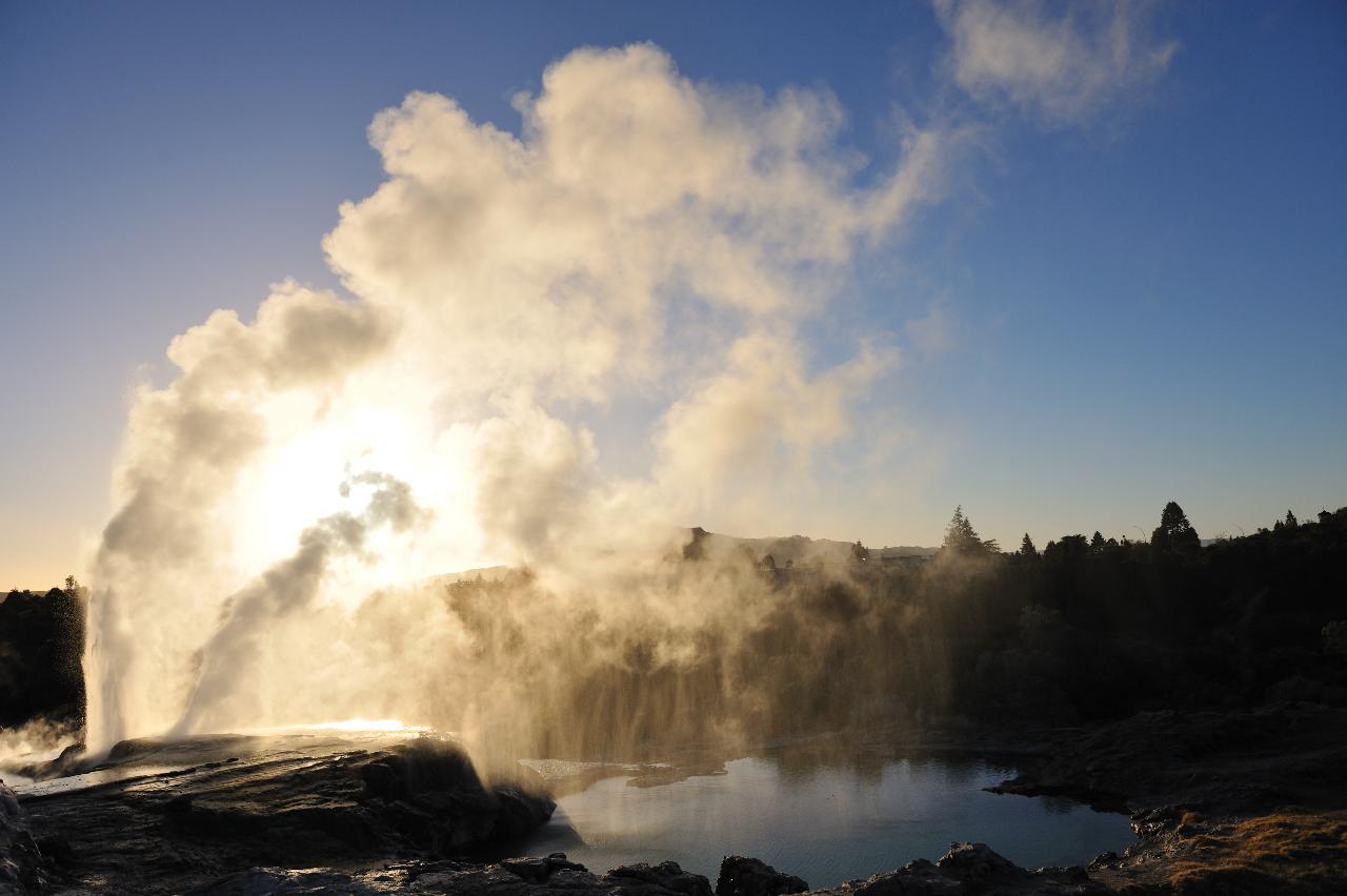 Rotorua Te Puia & Waitomo Caves Private Tour From Auckland