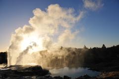 Rotorua Te Puia & Waitomo Caves Private Tour From Auckland
