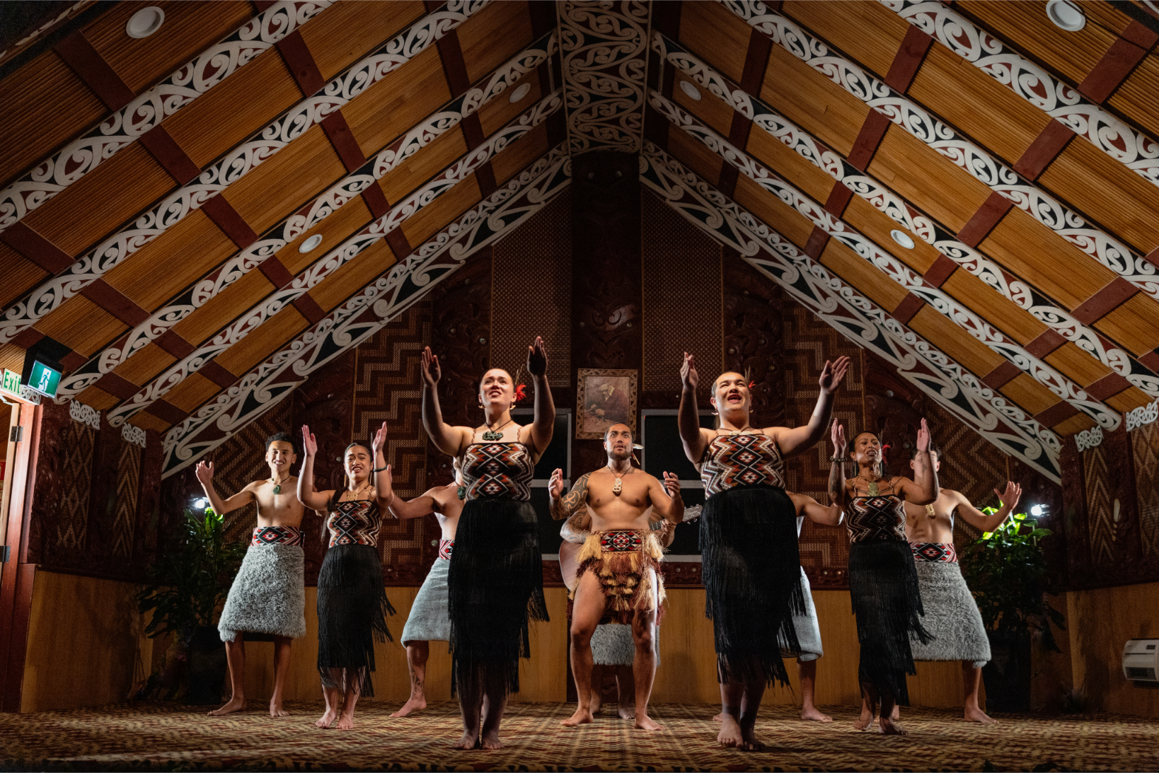 From Auckland: Rotorua Te Puia Small Group & Activity Combos