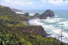 Private Tour of West Auckland: Piha Beach & Waitākere Ranges