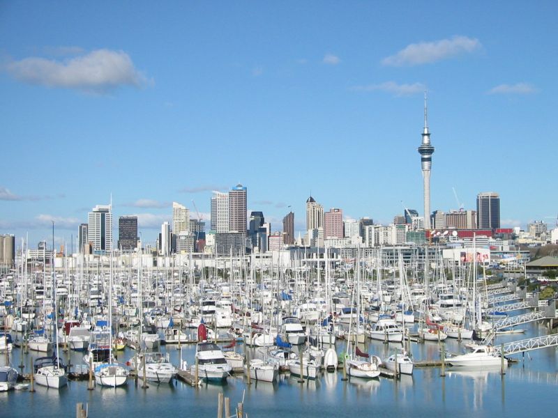 Private Auckland Shore Excursion: Half-Day City Highlights Tour with Lunch