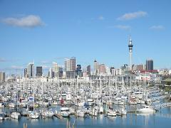 Private Auckland Shore Excursion: Half-Day City Highlights Tour with Lunch