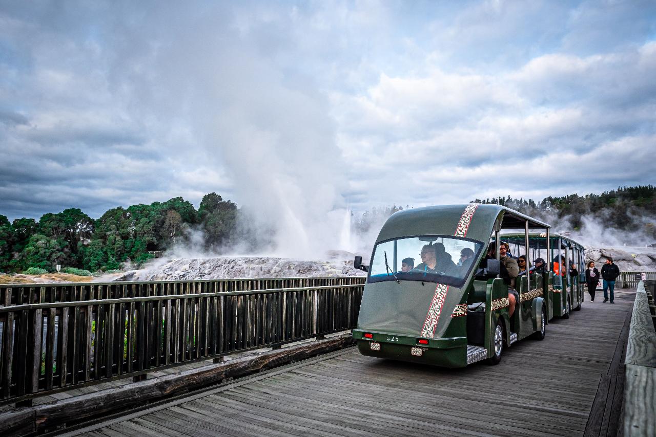 From Auckland: Te Puia and Wai Ariki Hot Springs Small Group Tour