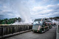 From Auckland: Te Puia and Wai Ariki Hot Springs Small Group Tour