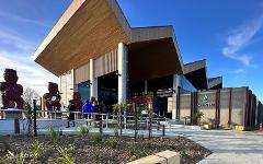 From Auckland: Wai Ariki Hot Springs and Redwood Treewalk Small Group Tour