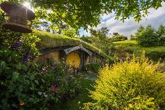 Private Tour ex Auckland: Hobbiton Movie Set & Te Puia Magic
