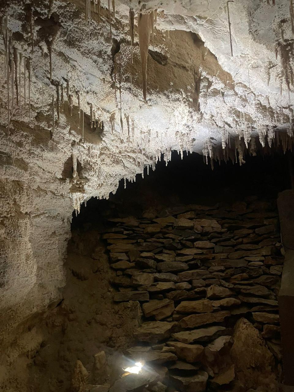  From Auckland: Rotorua Māori Village & Waitomo Caves Small Group Tour