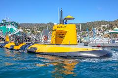 Semi-Submarine Underwater Tour Off Catalina Island