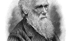 Retracing Charles Darwin’s travels in North Wales