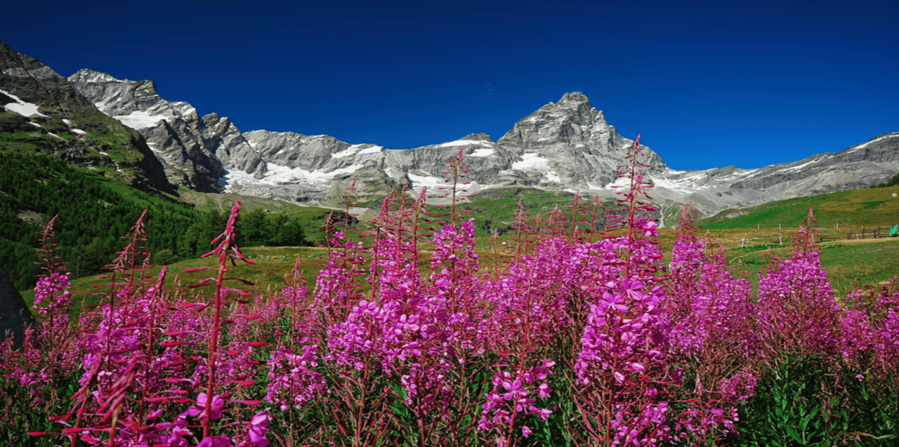Splendours of the Italian Alps