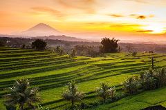 bali package in low budget