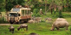 go fun safari