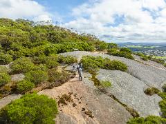 Scenic Bush Hike & Aussie Pub Adventure