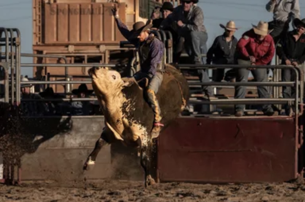 Reservation Rodeo Dongara Rodeo & Turquoise Coast Tour 2026 - Ocean2Outback Western ...