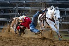 Dongara Rodeo & Turquoise Coast Tour 5th - 6th October