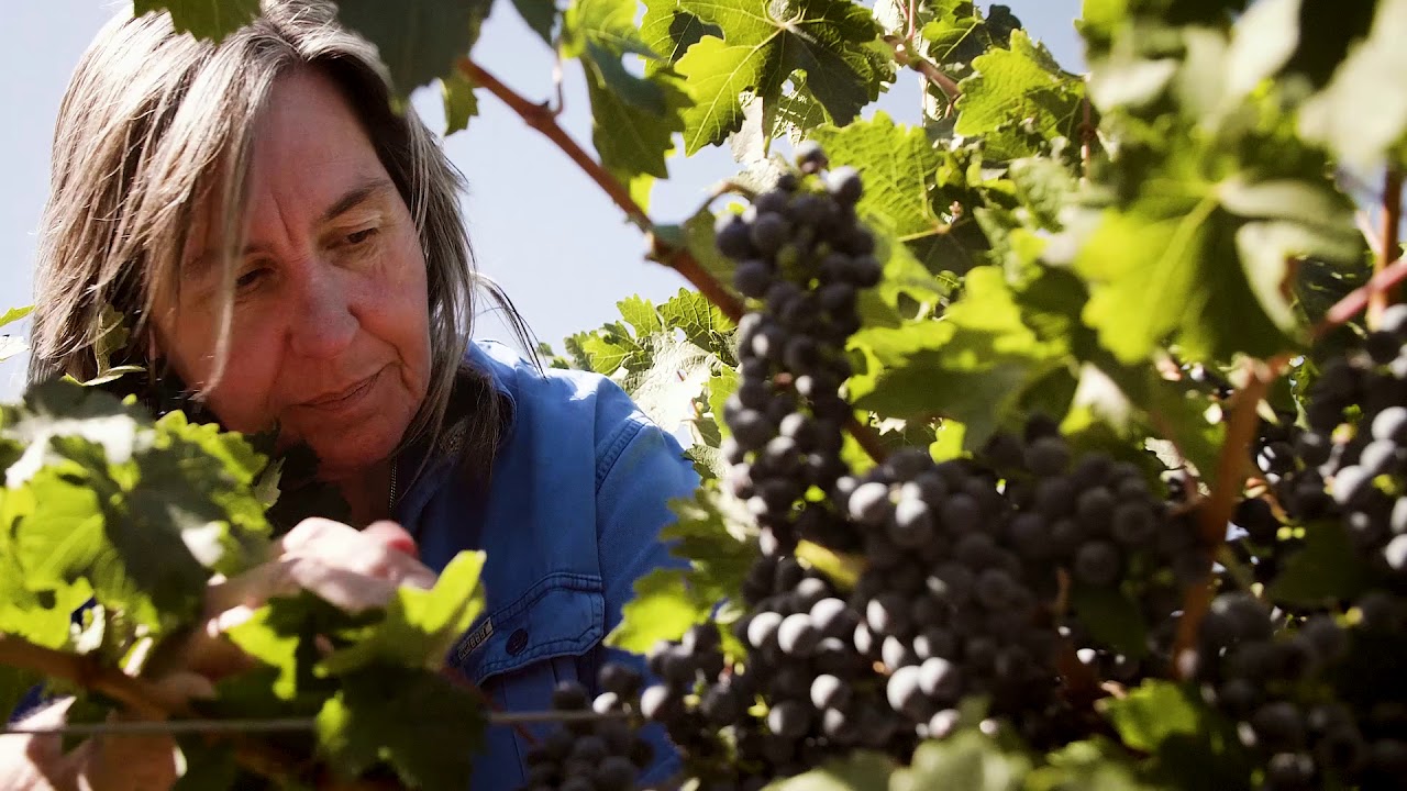 Jane Ferrari Long Lunch