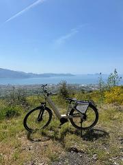 Vesuvio Bike Tour: Summit Ride and Entrance Ticket