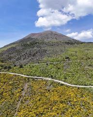 From Naples Vesuvio Bike Tour: Summit Ride and Entrance Ticket