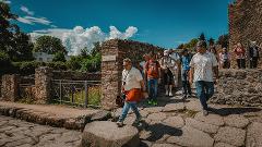 From Salerno: French Pompeii Guided Walking Tour with Ticket