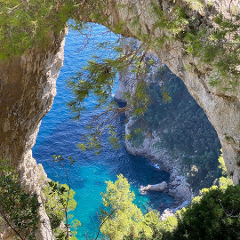 From Naples: Boat tour of Capri with swimming stop