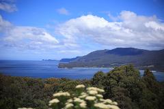 Tasmania ｜Tasman Peninsula 