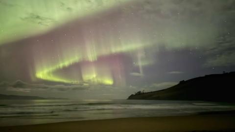 Night Light Show with Chaboo｜Winter Special Events