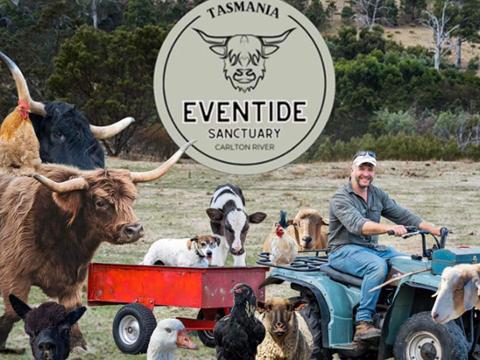 Eventide Sanctuary Farm Tours & Richmond Old Town: A Tasmanian Day Escape