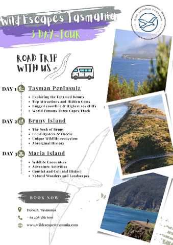 Green_Travel_Agency_Flyer__4_