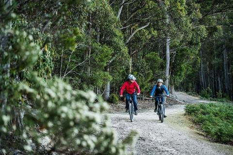 Mt_Wellington_Bike