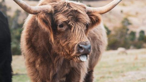 khjyzzrqwuoerzqeduvw_c9zj2jh