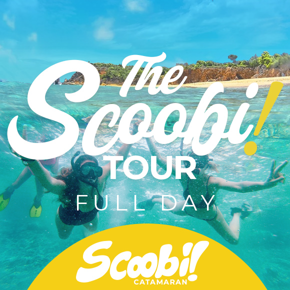 SCOOBI TOUR - FULL DAY FOR EXPLORE MARINE RESERVE