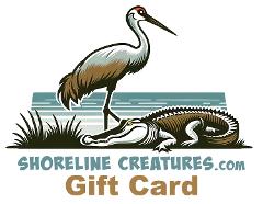 Gator Eyes Gift Card