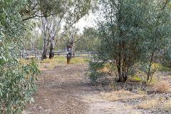  Yamyabuc Trail Cultural Guided Walk 