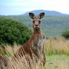 Mystery Country Explorers Tour - Thursday 