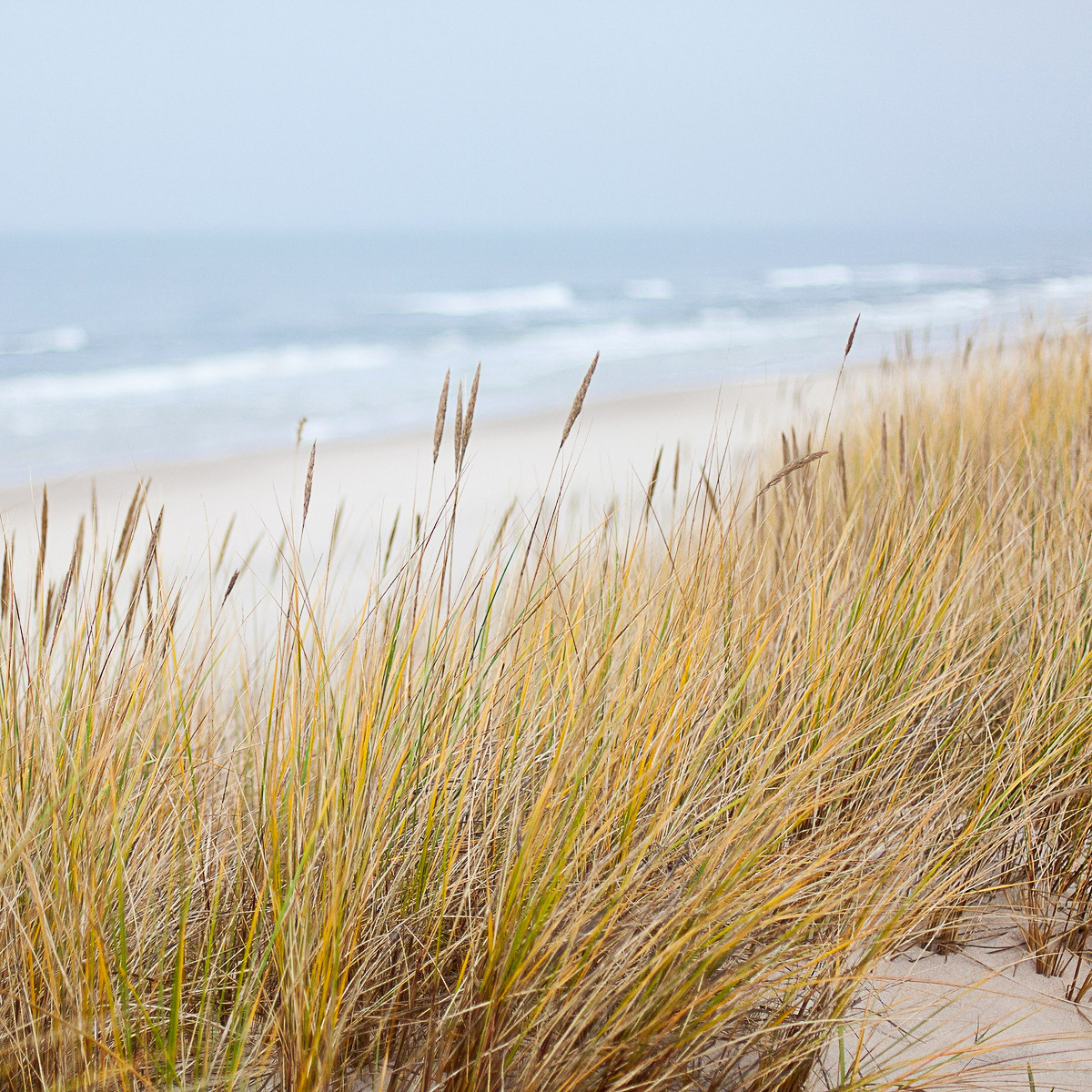 Mystery Seascape Splendour Tour - Sunday