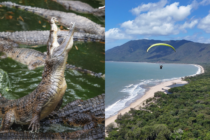 Hartley's Crocs & Tandem Paragliding Full Day Adventure