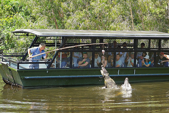 Hartley's Crocs & Tandem Paragliding Full Day Adventure
