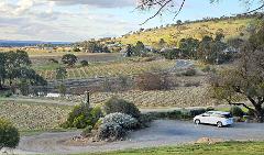 Barossa Guided Tour