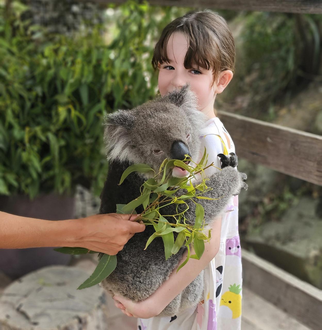 WildLife & Wine Guided Tour
