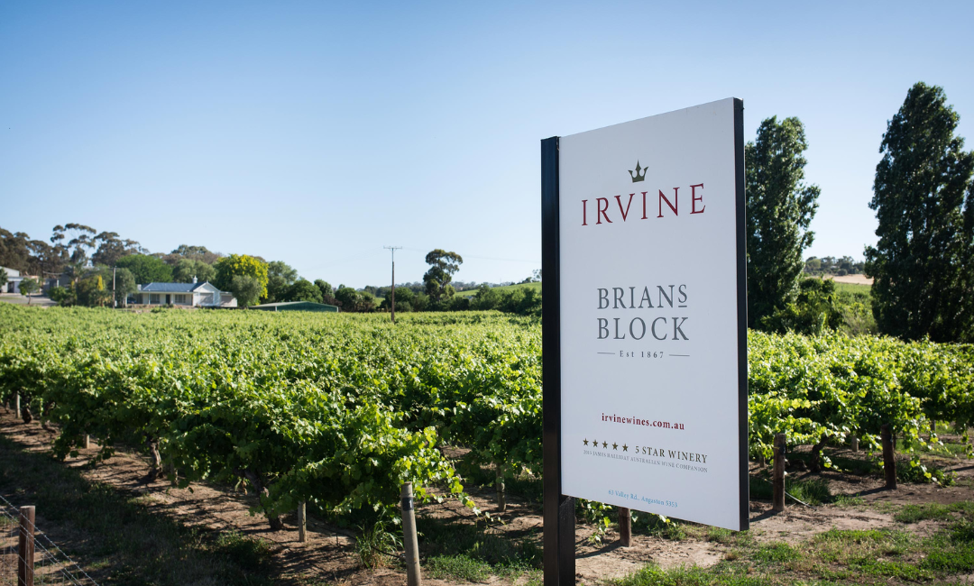 Vineyard Visions: A Private Tasting