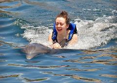 Dolphin Ride (Puerto Morelos)