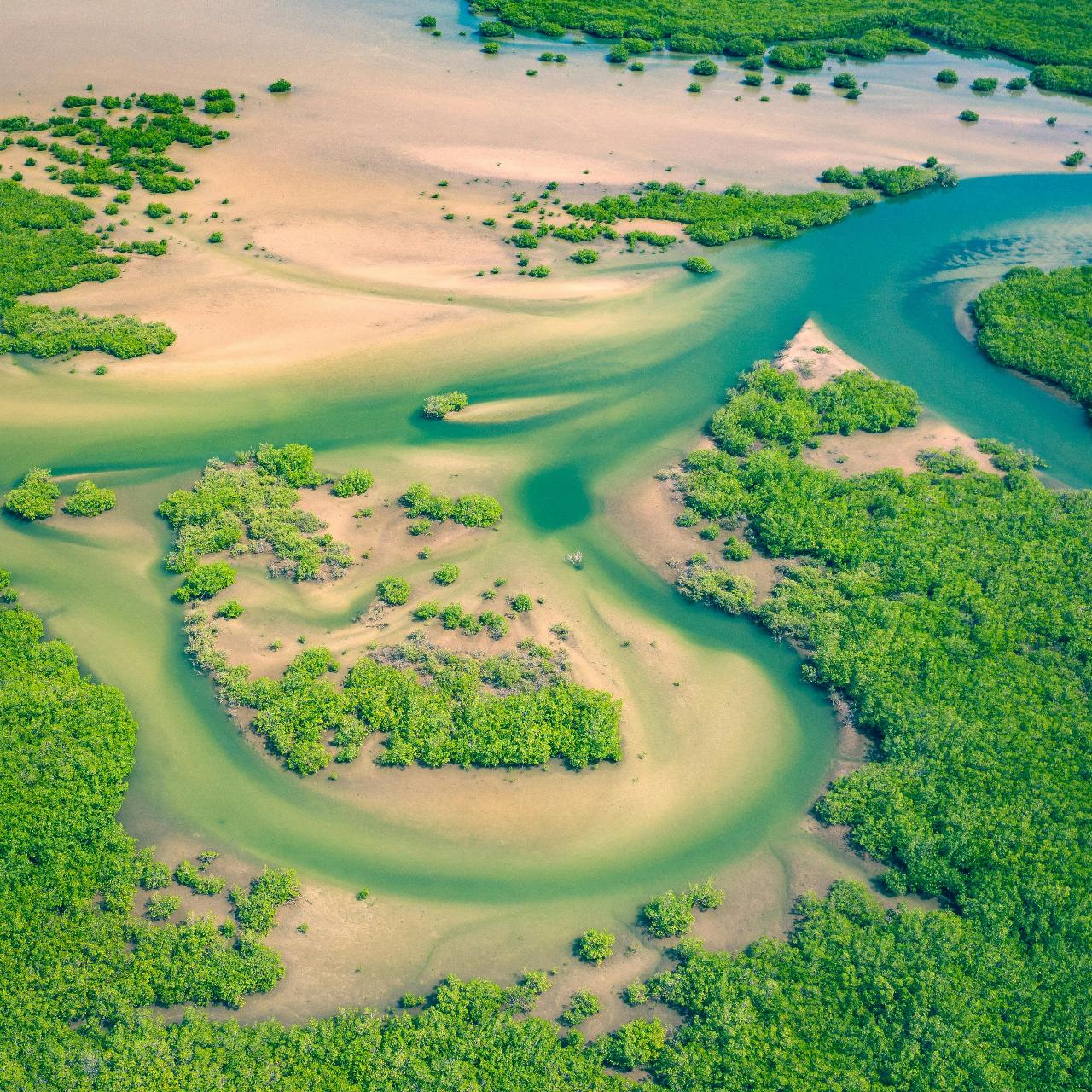 Tiwi Islands Cultural Immersion