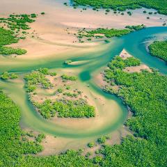 Tiwi Islands Cultural Immersion