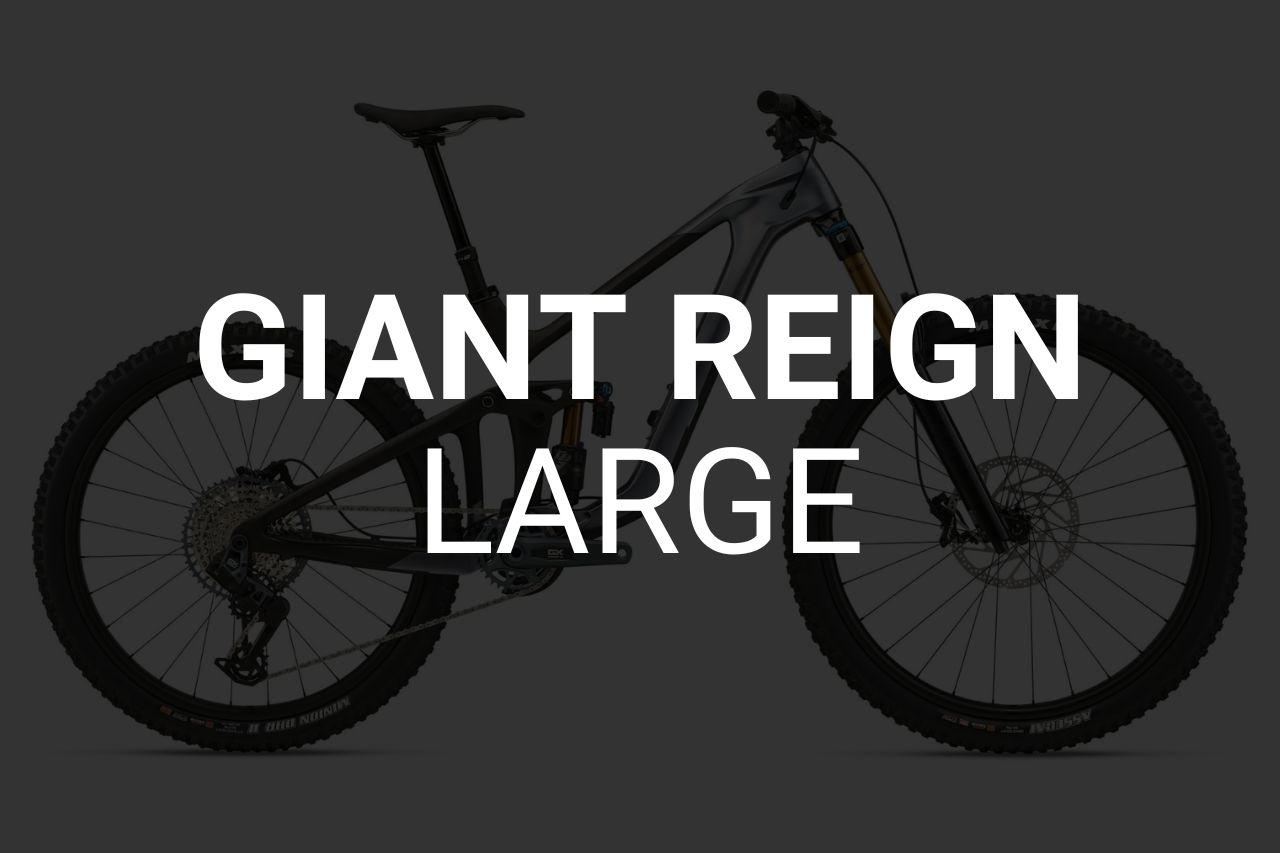 Giant Reign Enduro Bike - Large