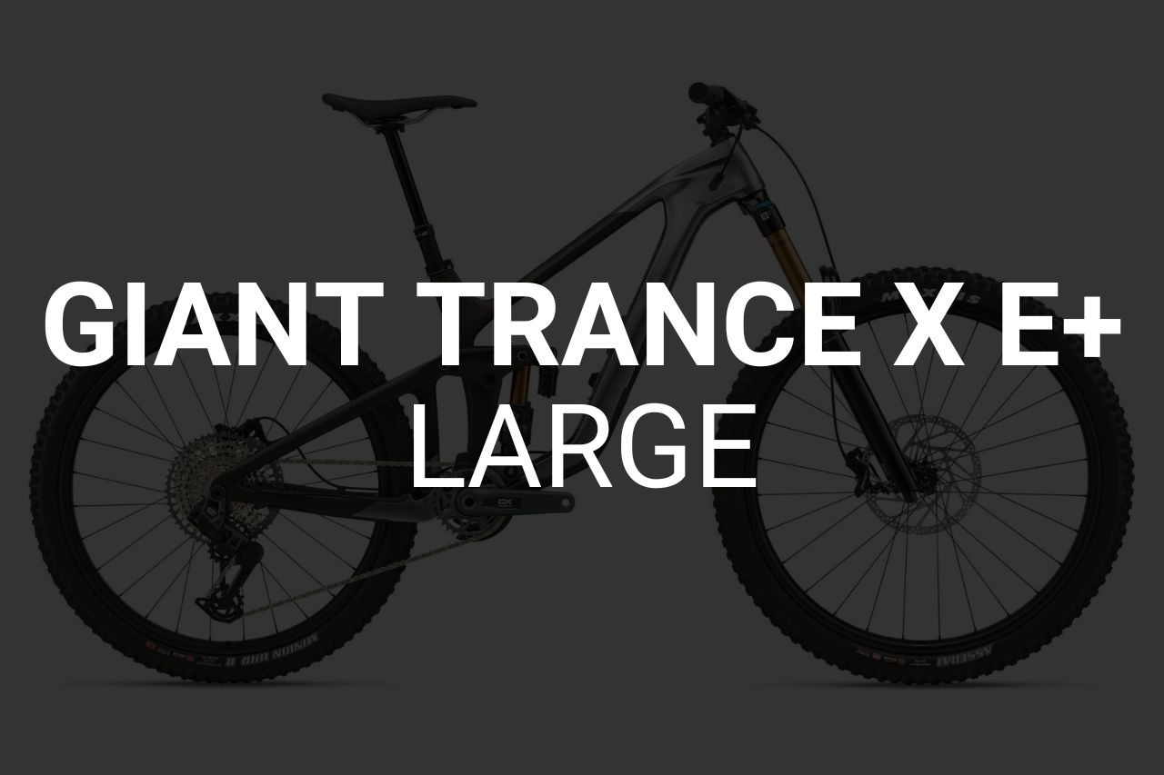 Giant Trance E-Bike - Large