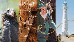 Gift Card One Hundred Dollar