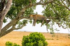 5th August - 5-Days Serengeti National Park